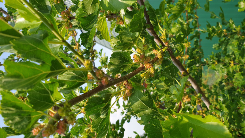 20190609_125246.jpg