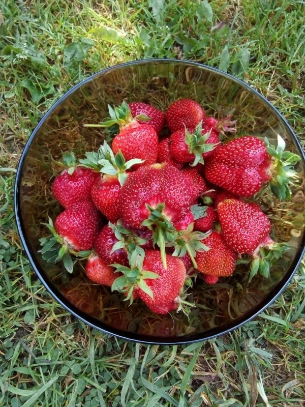 IMG-20190612-WA0001.jpg