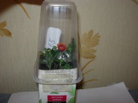 DSCN8152.JPG