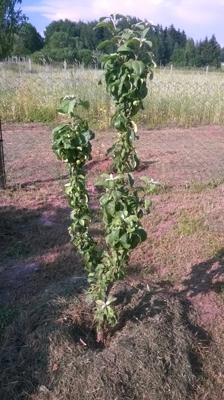 WP_20190613_003.jpg