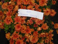 Совпадает?