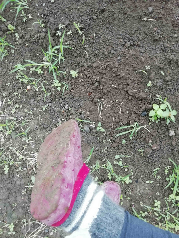 А грязь где?!!