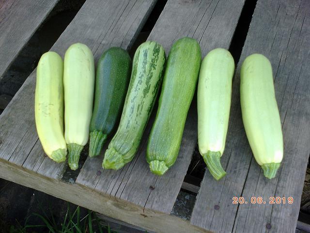 PIC_19066.JPG