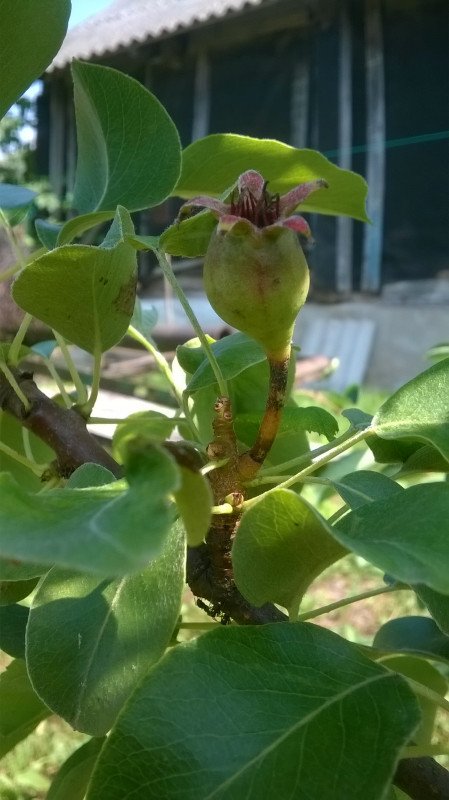 WP_20190621_006.jpg
