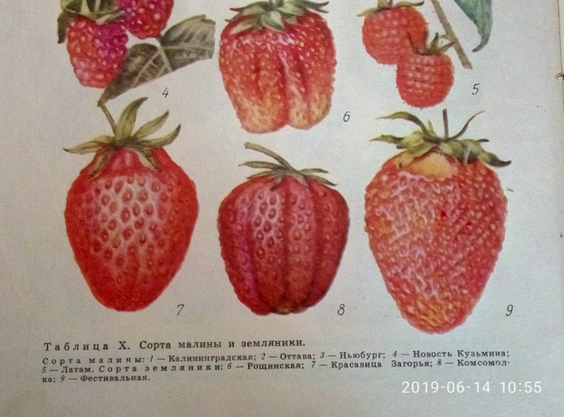 P90614-105512.jpg