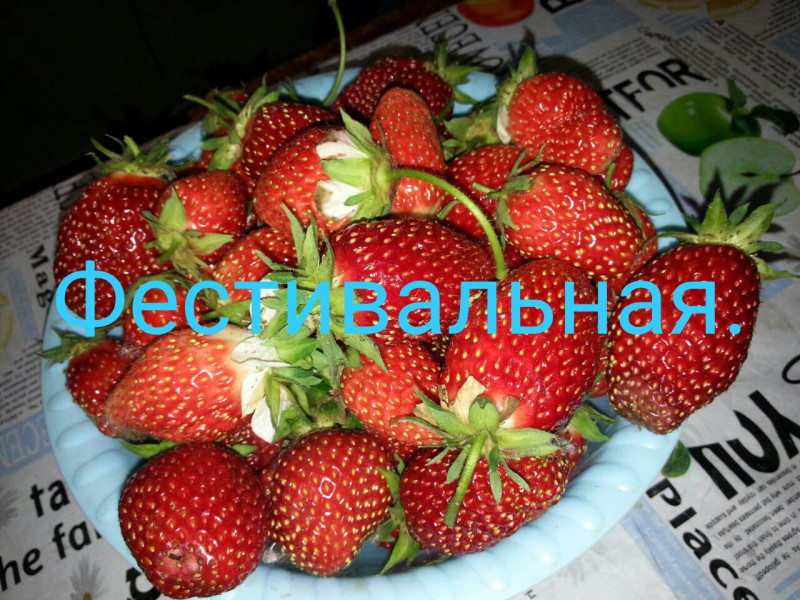 IMG-20180225-WA0047.jpg