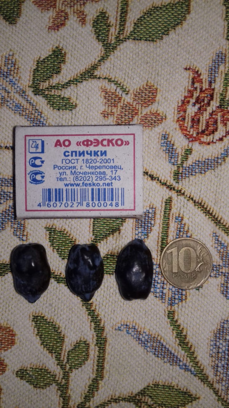 бл3.jpg