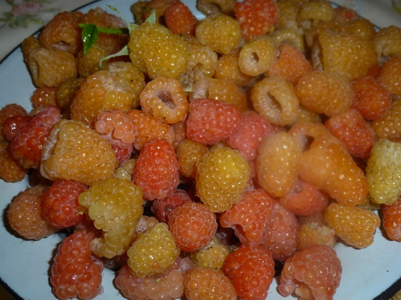 P2060743.JPG