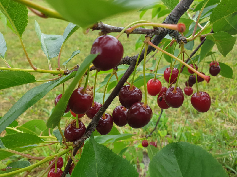 20190621_145659.jpg