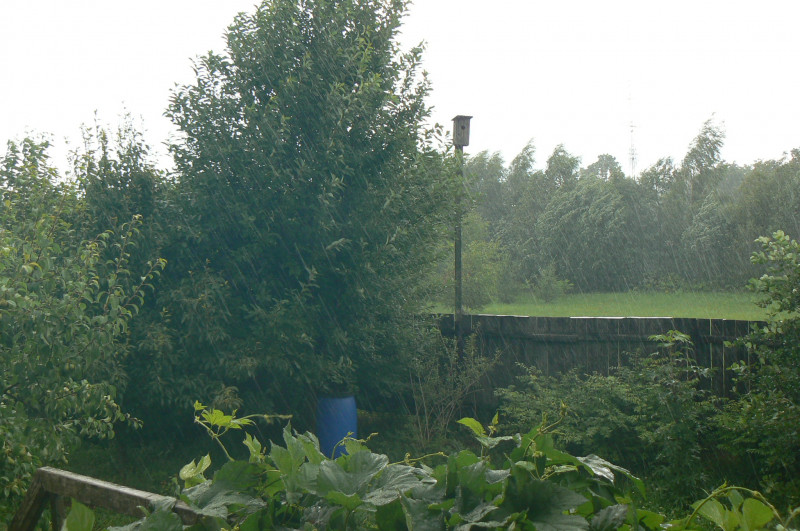 P1440938.JPG