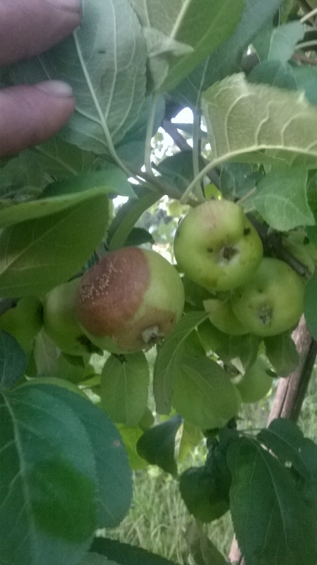 WP_20190702_002.jpg