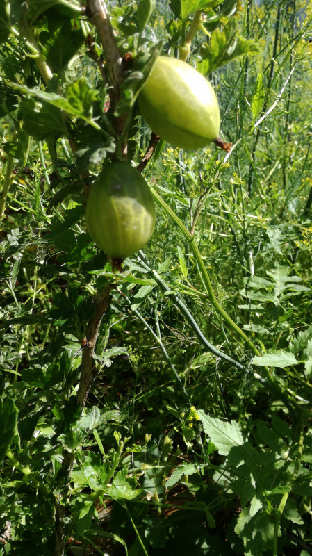 IMG-20190701-WA0007.jpeg