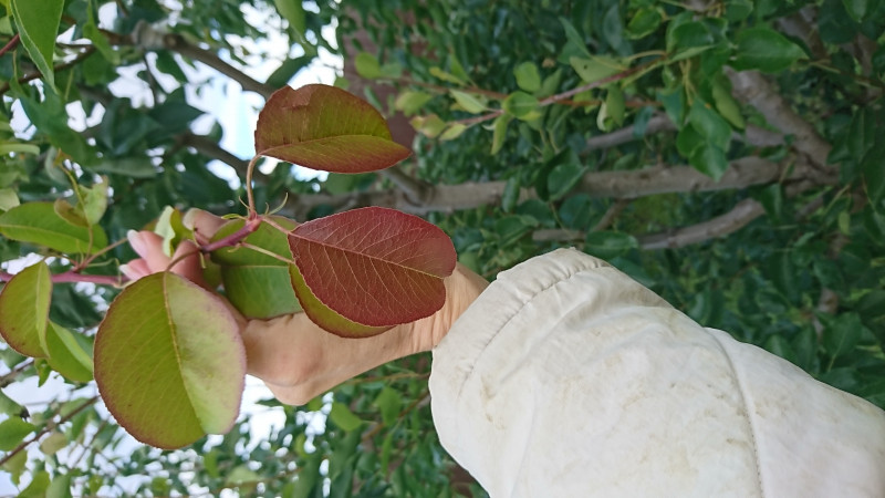 DSC_2037.JPG