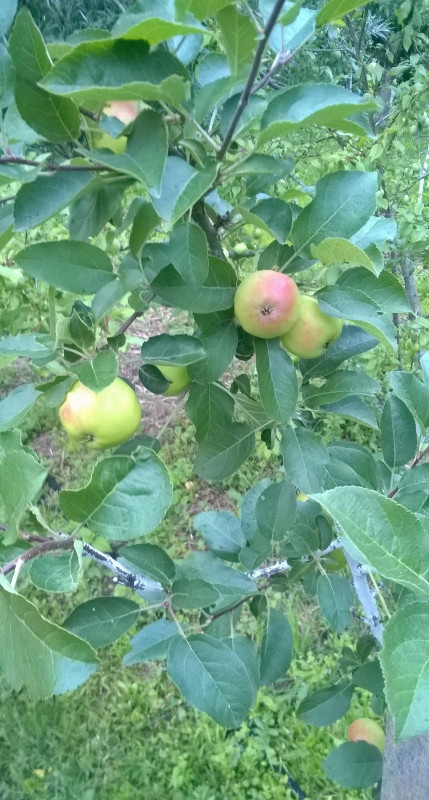 WP_20190708_20_00_34_Pro.jpg