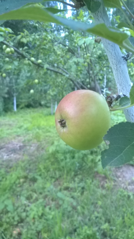 WP_20190708_20_01_03_Pro.jpg