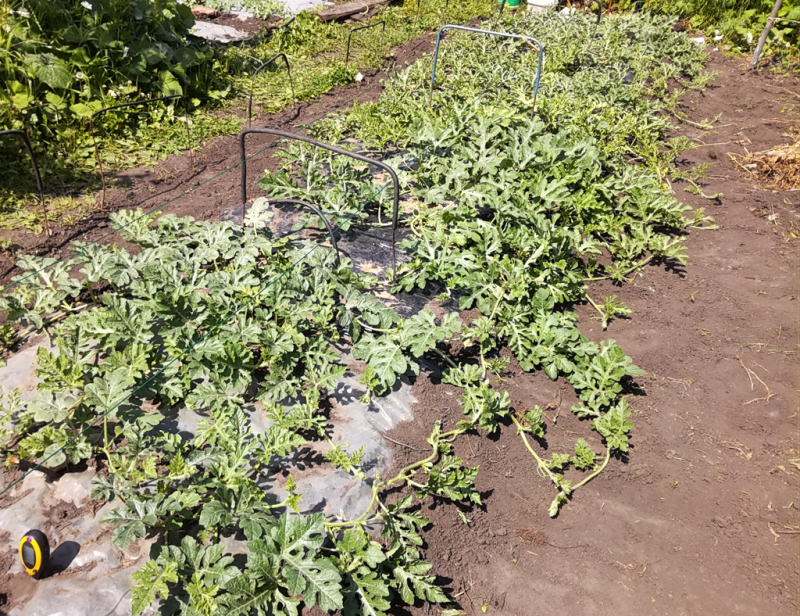 IMG_20190709_144659.png