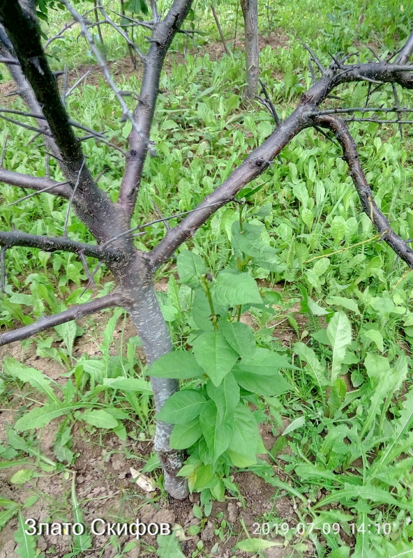 P90709-141048.jpg