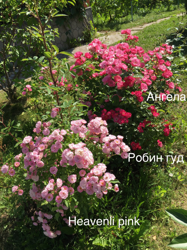B9BF0732-D2A8-4CC2-926F-8C442011D52A.jpeg