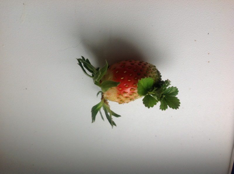 image.jpeg