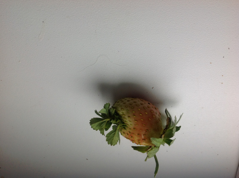 image.jpeg
