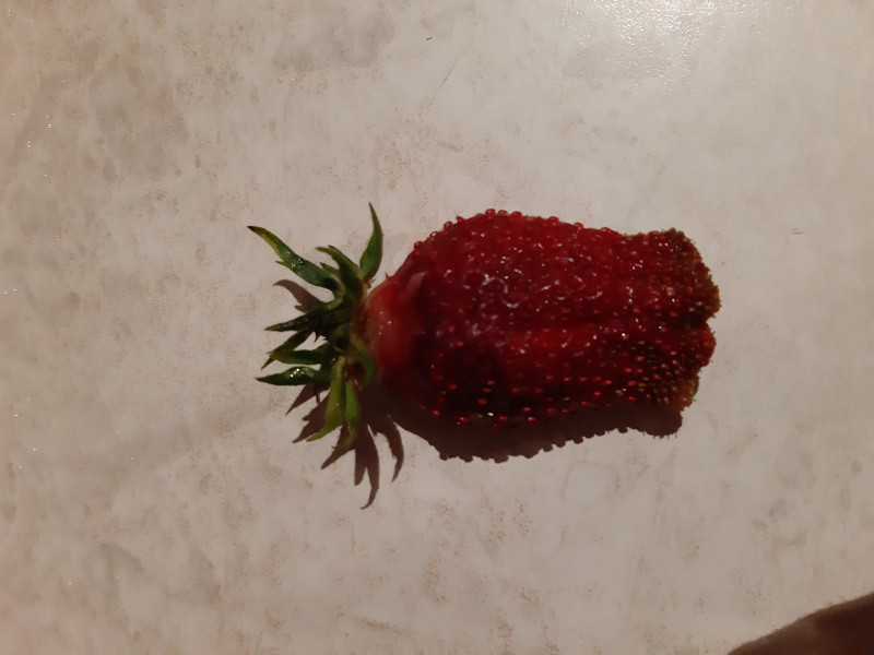 20190710_225405.jpg