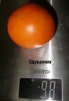 P1010172.JPG