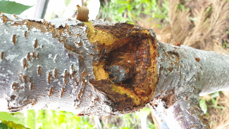 20190717_150641.jpg