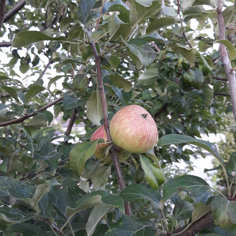 20190717_191853.jpg