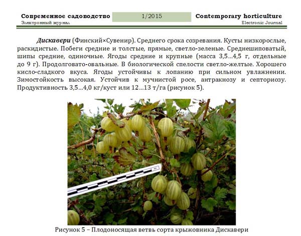 Дискавери.JPG