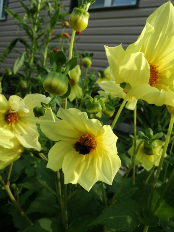 IMG-20190720-WA0006.jpg