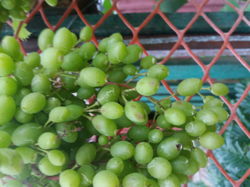 20190720_192702.jpg