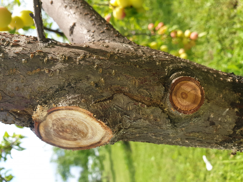 20190720_130950.jpg