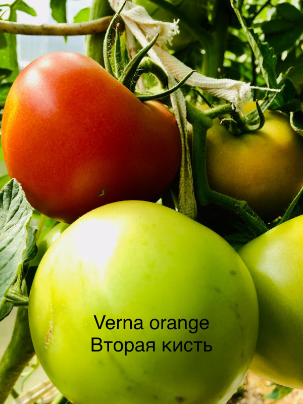 E61FB053-511A-4B70-A51F-0BFF4A531BFF.jpeg
