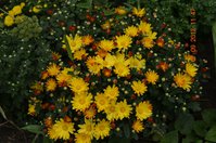 DSC_1693.JPG