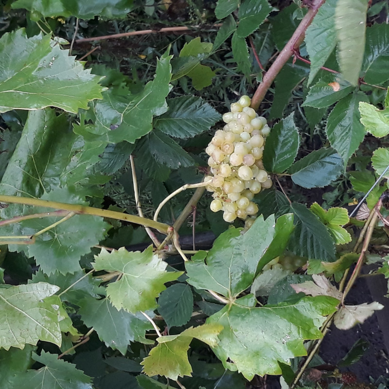 20190726_164039.jpg