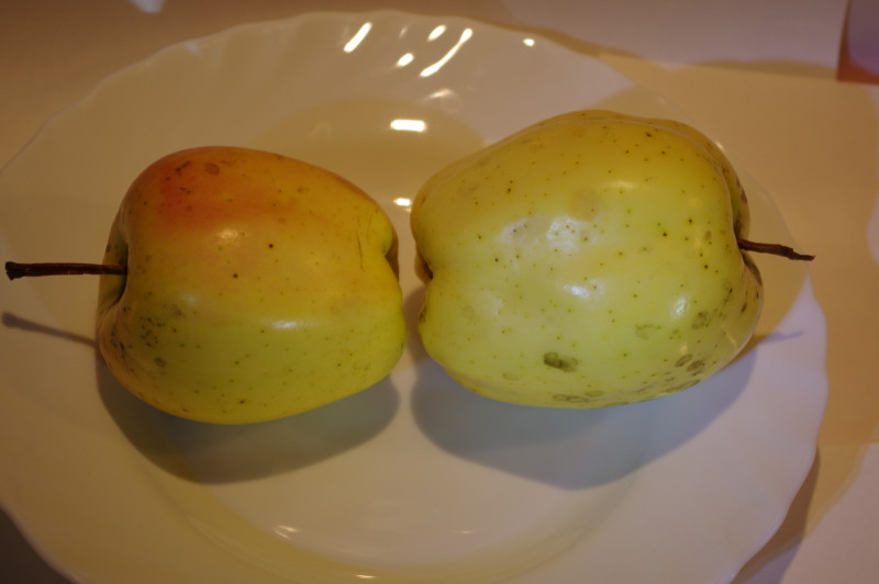 IMGP9052_.jpg