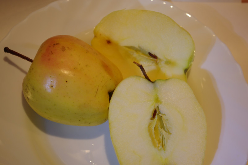 IMGP9055_.jpg