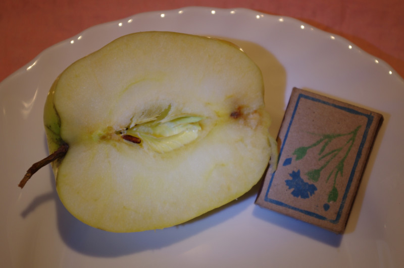 IMGP9056_.jpg