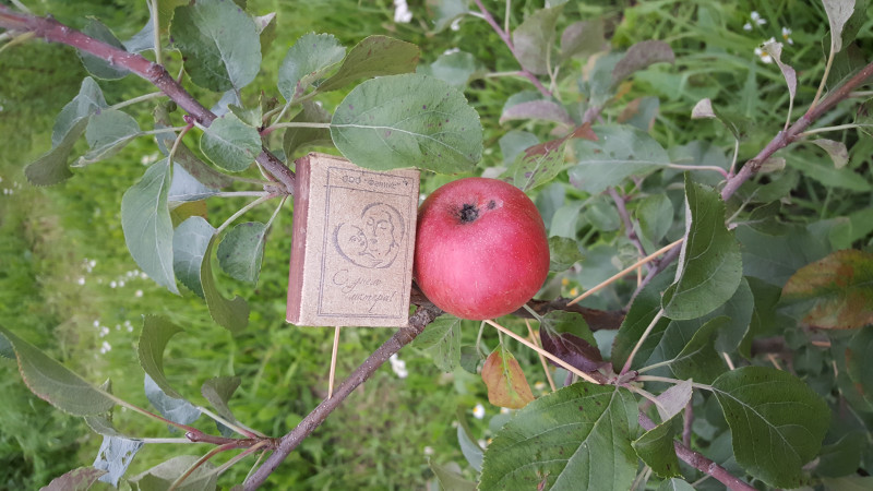 20190801_193607.jpg