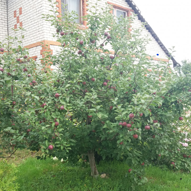 20190804_234448.jpg