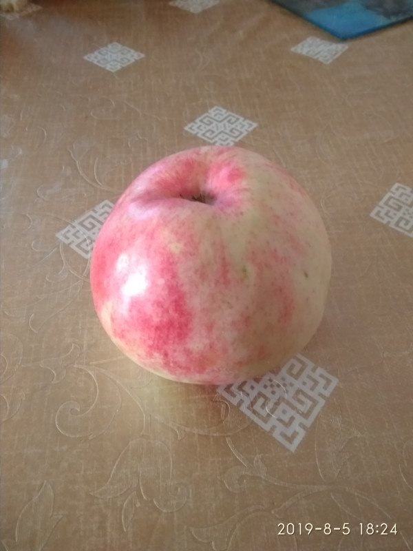 IMG_20190805_182413.jpg