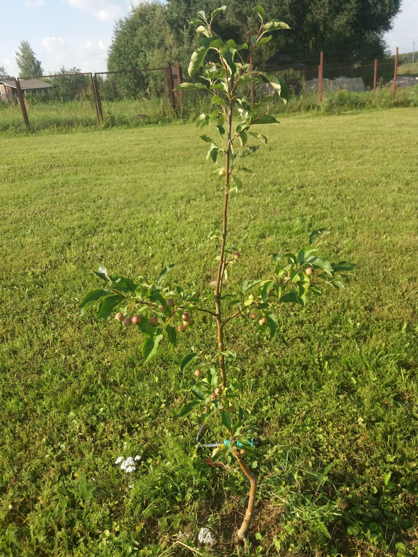 20190727_172402.jpg