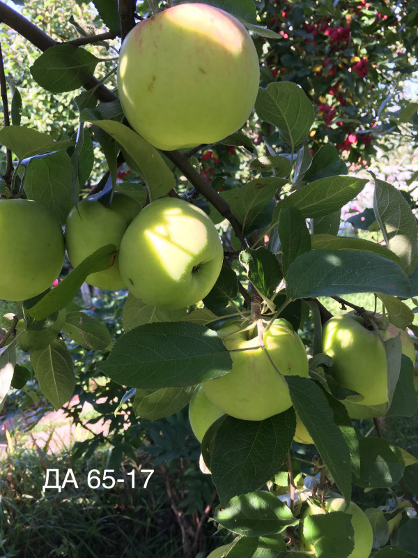61265C19-38DA-4221-91E8-8669D5E9E1E2.jpeg