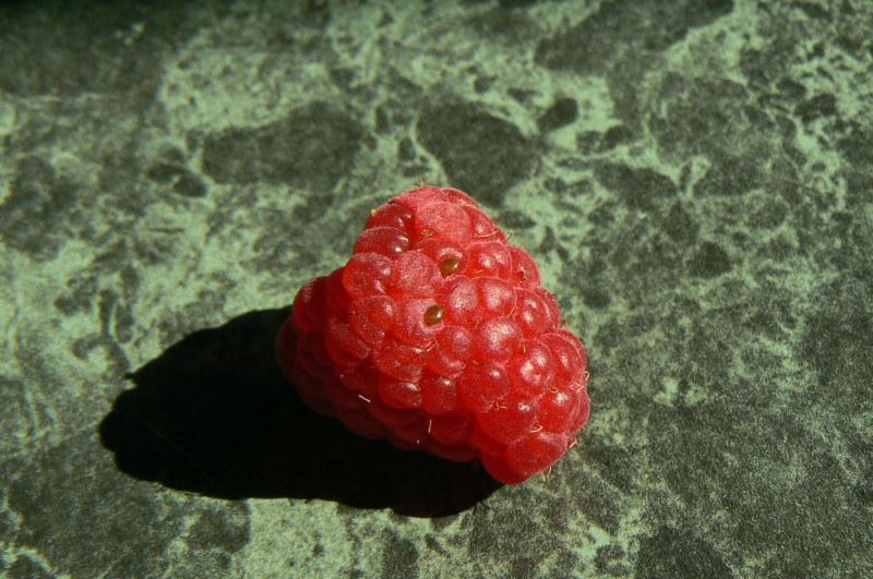 P1460024.JPG