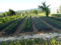 DSCN0625.JPG