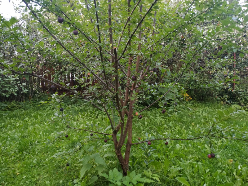 ыIMG_20190809_185351.jpg