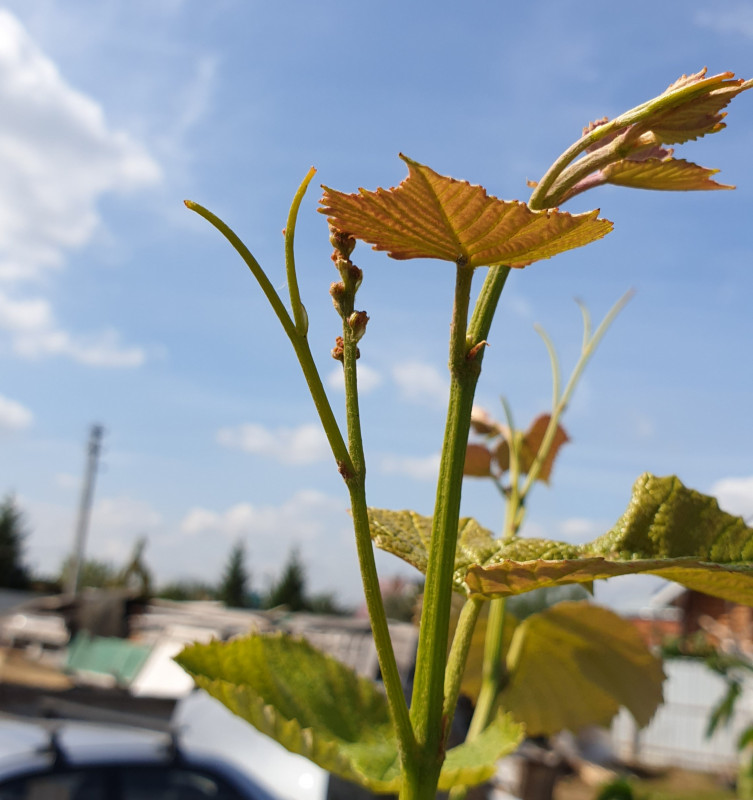 20190814_001523.jpg