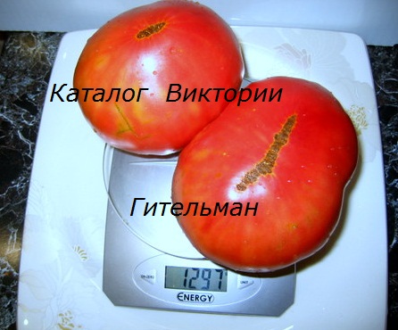 IMG_8679.JPG