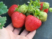 DSCN0659.JPG