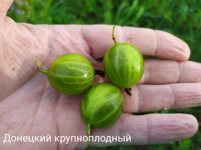 IMG_20190725_213835.jpg
